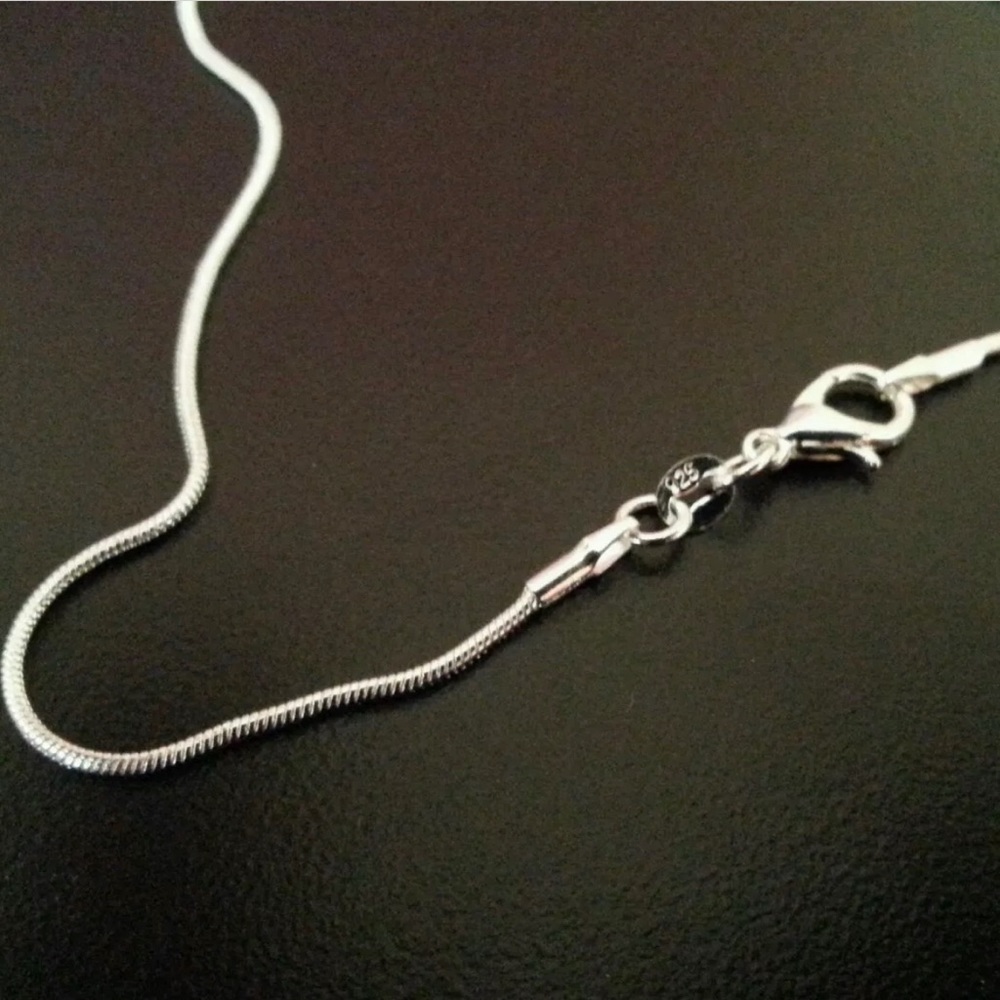 Sterling Silver Snake Chain Necklace
